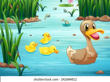 Duck Swimming Images, Stock Photos & Vectors | Shutterstock