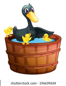Illustration of the ducks taking a bath on a white background