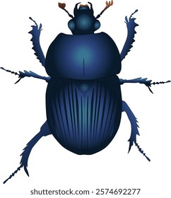 Illustration of dung beetle (Geotrupes stercorarius) with transparent background. 