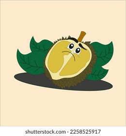 illustration of durian fruit that usually lives in tropical highlands