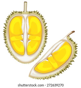 illustration. durian on white background.