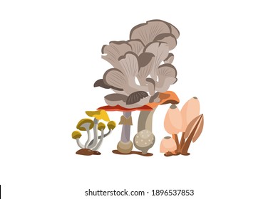 Illustration of each mushroom that has been arranged in a pile. Which is a healthy vegetarian food