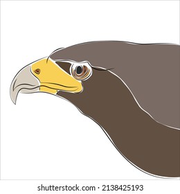Illustration of Eagle. It is another rare wild animal species.