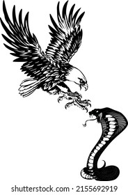 illustration of eagle attacking snake