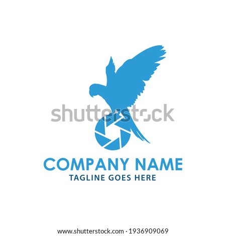 Illustration eagle bird with lens camera logo design template