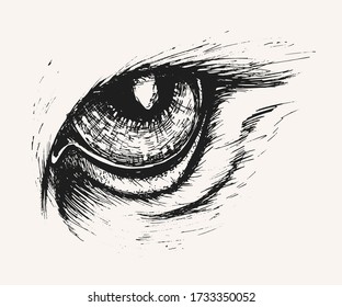Ilustración del ojo de águila, realizada en monocromo