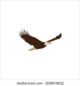 illustration of an eagle flying freely
