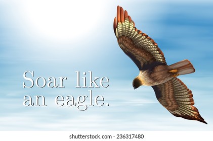 Illustration of an eagle flying in the sky