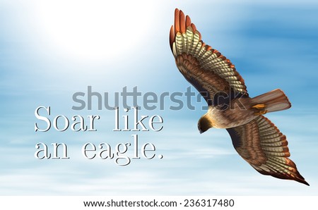 Illustration of an eagle flying in the sky