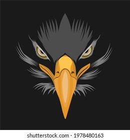 illustration of an eagle gaze in the dark