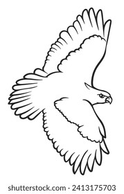 Illustration of eagle, hawk, falcon. drawing with line art on white backgrounds. Simple Design Outline Style. You can give color you like. Vector Illustrations