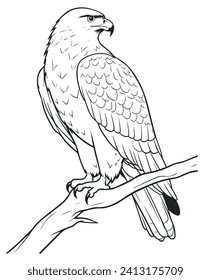 Illustration of eagle, hawk, falcon. drawing with line art on white backgrounds. Simple Design Outline Style. You can give color you like. Vector Illustrations