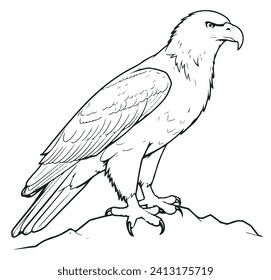 Illustration of eagle, hawk, falcon. drawing with line art on white backgrounds. Simple Design Outline Style. You can give color you like. Vector Illustrations