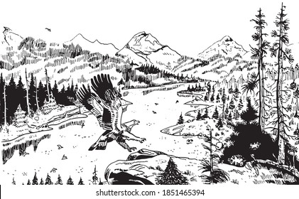 Illustration of an eagle landing on a rock with mountainous landscape covered by a forest crossed by a river. Ink drawing.