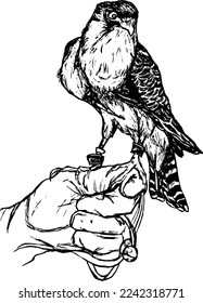 illustration of an eagle perched on a person's hand