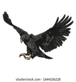 illustration of an eagle ready to pounce on prey, suitable for tattoos and t-shirt designs