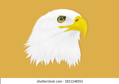 Illustration of an eagle with a sharp gaze facing the side of the hand drawing