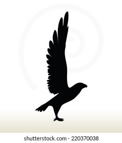 illustration of eagle silhouette isolated on white background