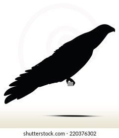 illustration of eagle silhouette isolated on white background