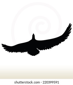 illustration of eagle silhouette isolated on white background