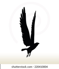 illustration of eagle silhouette isolated on white background