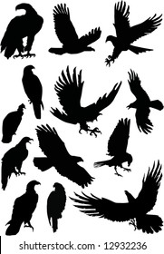 illustration with eagle silhouettes isolated on white background