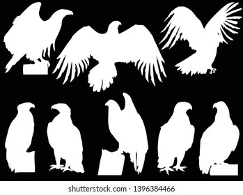 ilustración con siluetas de águila aisladas en fondo negro