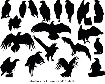 illustration with eagle silhouettes isolated on white background