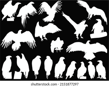 Illustration mit Adler-Silhouetten einzeln auf schwarzem Hintergrund