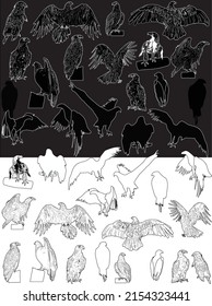 illustration with eagle silhouettes isolated on white and black background