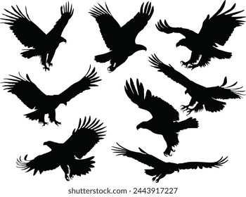 illustration with eagle silhouettes isolated on white background