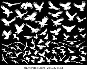 illustration with eagle silhouettes isolated on black background