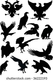 illustration with eagle silhouettes isolated on white background