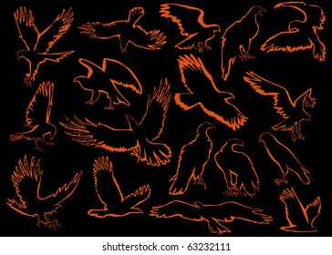illustration with eagle silhouettes isolated on black background