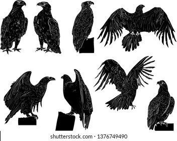illustration with eagle sketches isolated on white background