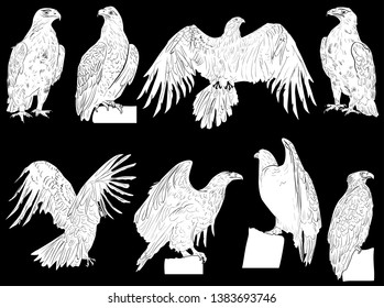 illustration with eagle sketches isolated on black background