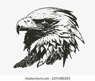 Illustration of an eagle's head, black and white 