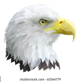 Illustration of a eagles head in profile.