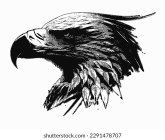 illustration of eagle's head, white background 