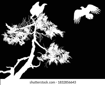 illustration with eagles near pine tree isolated on black background