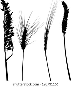illustration with ear silhouettes collection isolated on white background