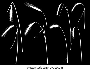 ilustración con colección de siluetas auriculares aisladas en fondo negro