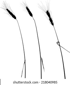 illustration with ear silhouettes collection isolated on white background