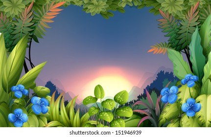 Illustration of an early morning view at the forest