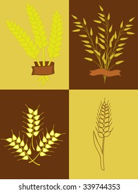 illustration of ears of wheat, oats