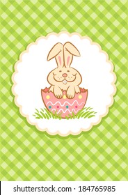 Illustration of Easter Bunny in the egg shell