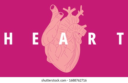 Illustration of easy-to-draw heart. Isolate background.