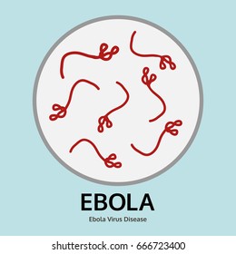 Illustration Of Ebola Virus Disease In The Trial Tray, Medical Info Graphic Vector