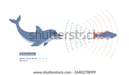 Illustration of echolocation, dolphins emit high frequency sounds to prey and analyze the returning echoes to navigate.