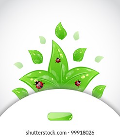 Illustration eco floral transparent background - vector